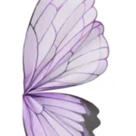 Aripi de fluture decorative pentru buchete (set 10 perechi)